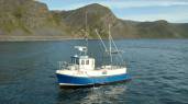 Boot Viking Sea 32ft. Motor: 95 PS Cattarpiler /Diesel, exklusive Treibstoff
